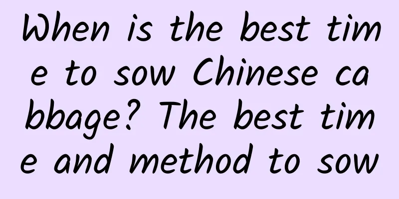 When is the best time to sow Chinese cabbage? The best time and method to sow
