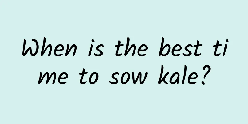 When is the best time to sow kale?