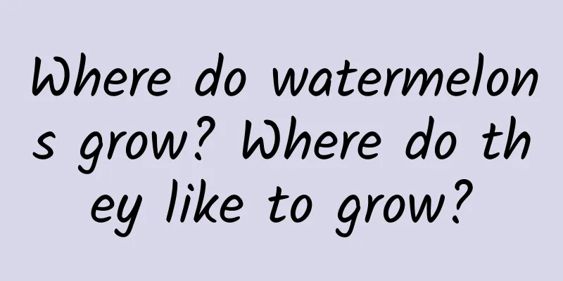 Where do watermelons grow? Where do they like to grow?