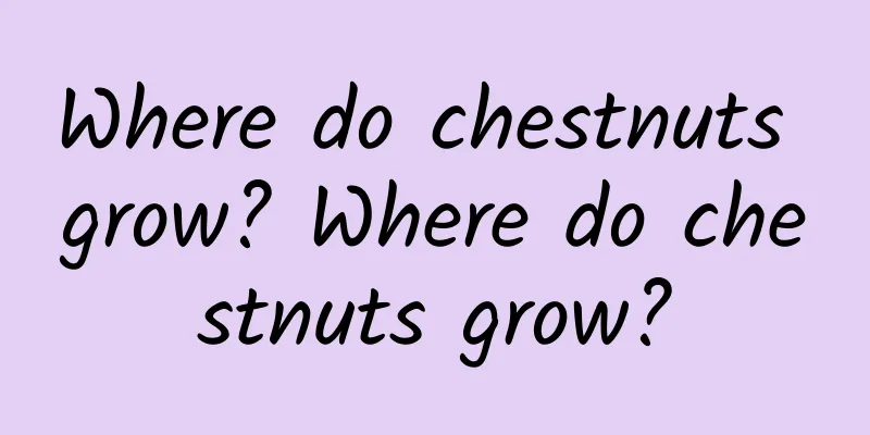 Where do chestnuts grow? Where do chestnuts grow?