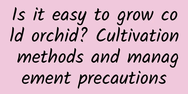 Is it easy to grow cold orchid? Cultivation methods and management precautions
