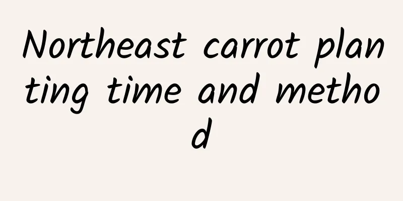 Northeast carrot planting time and method