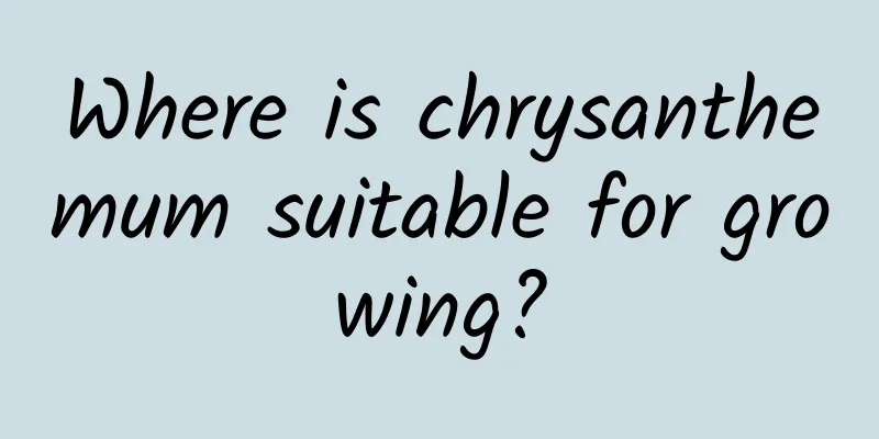 Where is chrysanthemum suitable for growing?