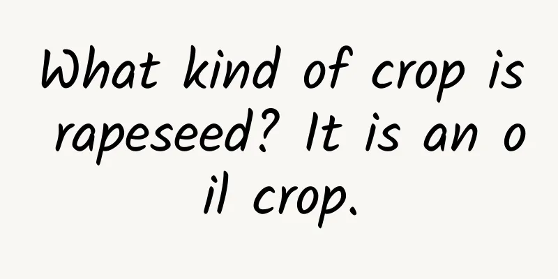 What kind of crop is rapeseed? It is an oil crop.