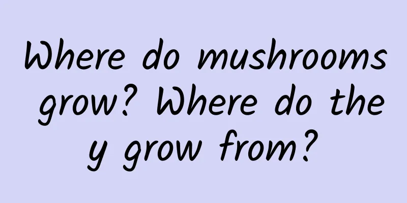 Where do mushrooms grow? Where do they grow from?