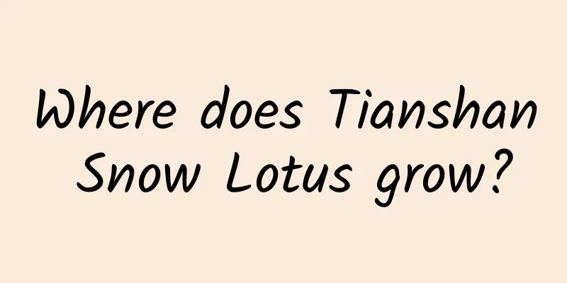 Where does Tianshan Snow Lotus grow?