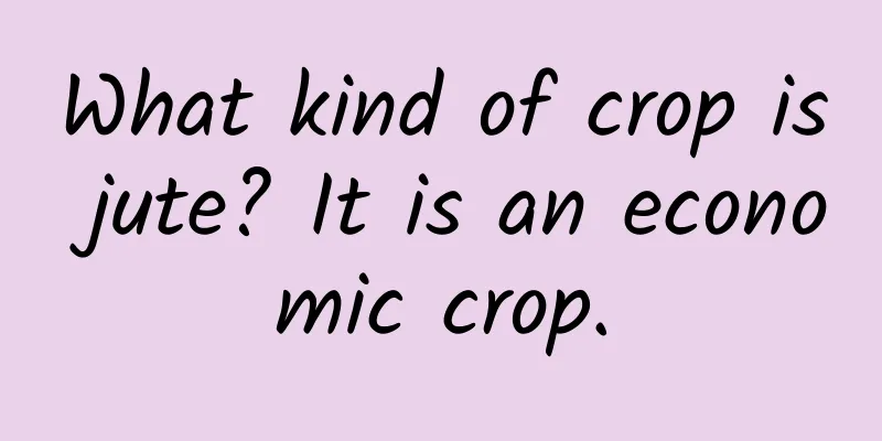 What kind of crop is jute? It is an economic crop.