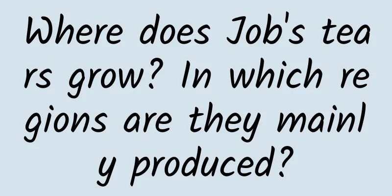 Where does Job's tears grow? In which regions are they mainly produced?