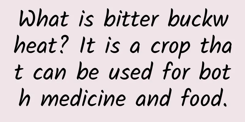 What is bitter buckwheat? It is a crop that can be used for both medicine and food.