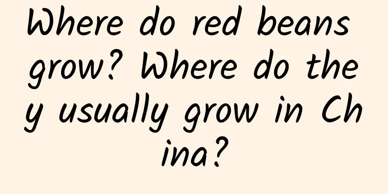 Where do red beans grow? Where do they usually grow in China?