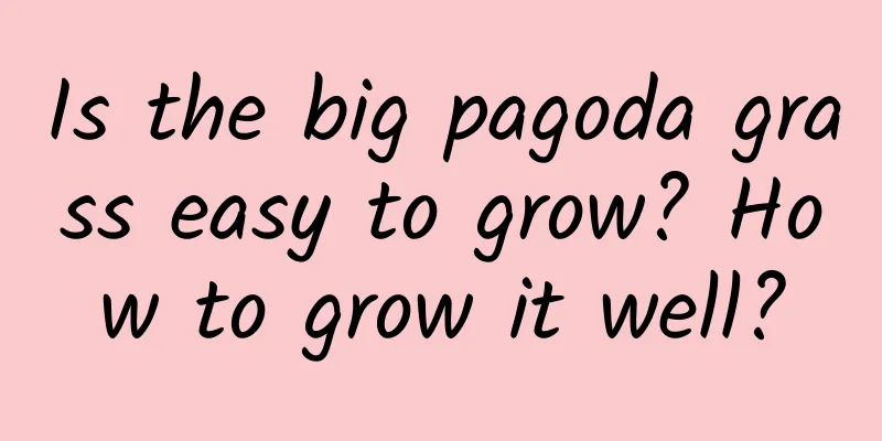 Is the big pagoda grass easy to grow? How to grow it well?