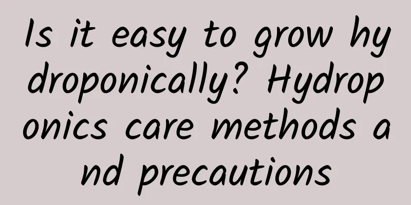 Is it easy to grow hydroponically? Hydroponics care methods and precautions