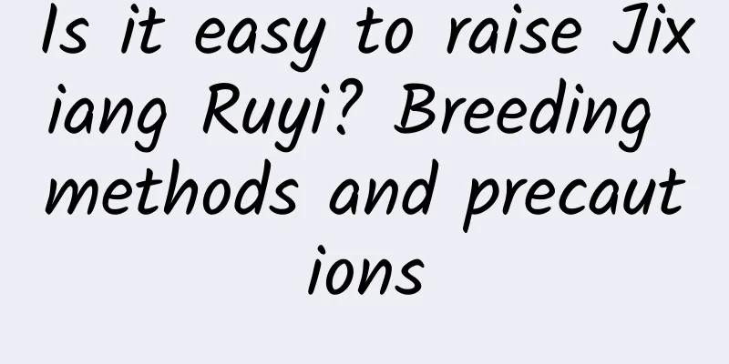 Is it easy to raise Jixiang Ruyi? Breeding methods and precautions