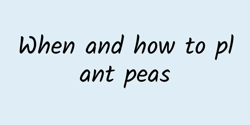 When and how to plant peas