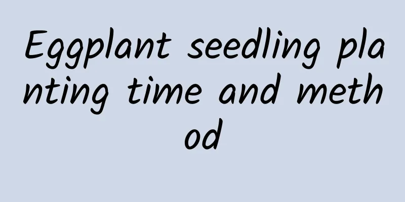 Eggplant seedling planting time and method