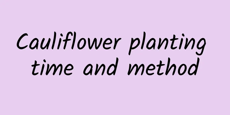 Cauliflower planting time and method