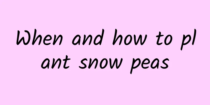 When and how to plant snow peas