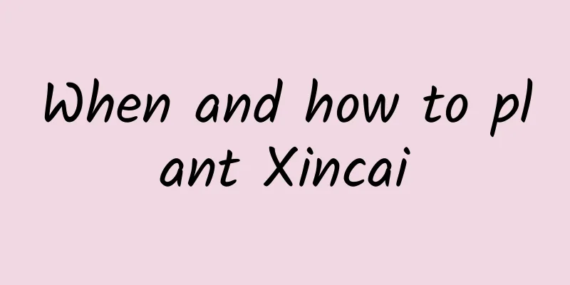 When and how to plant Xincai