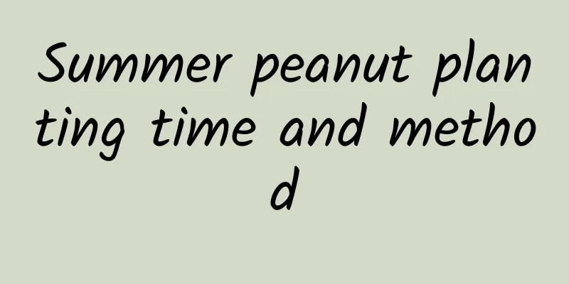 Summer peanut planting time and method