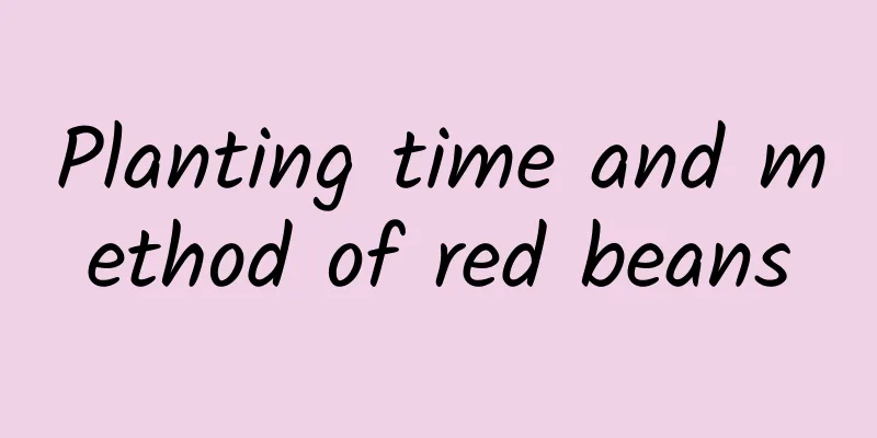 Planting time and method of red beans