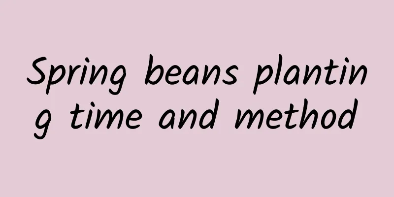 Spring beans planting time and method