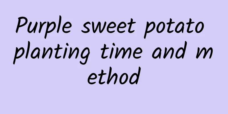 Purple sweet potato planting time and method