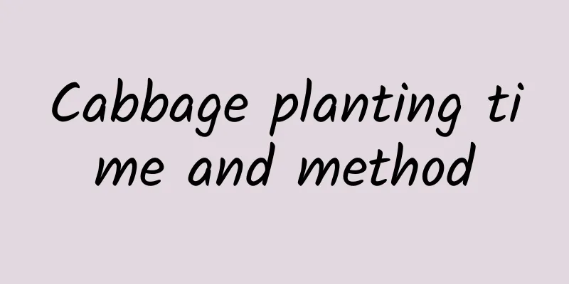Cabbage planting time and method