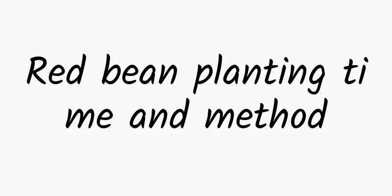 Red bean planting time and method