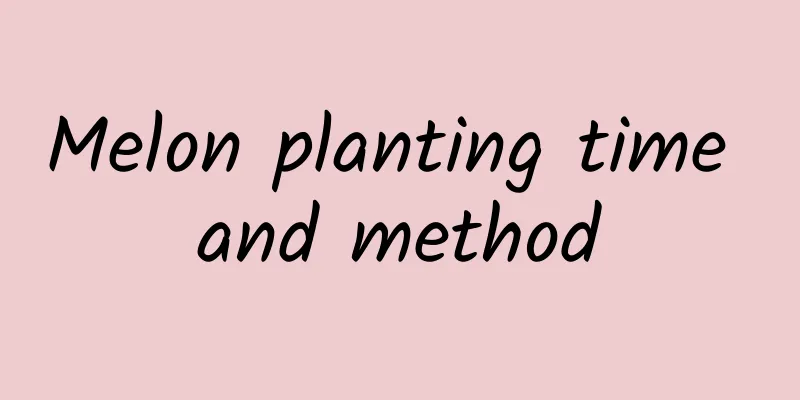 Melon planting time and method