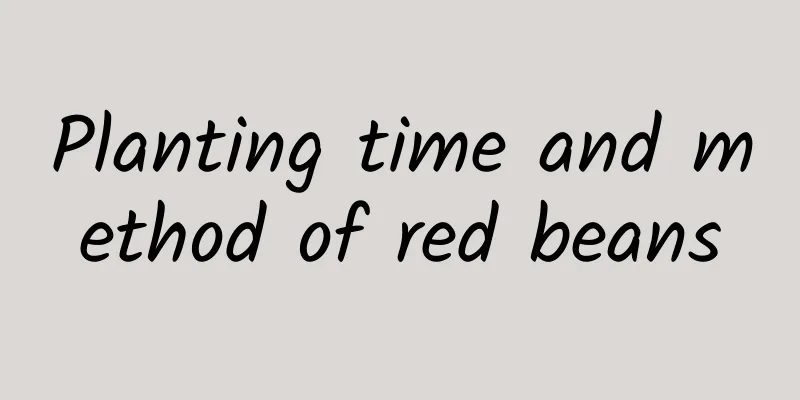 Planting time and method of red beans