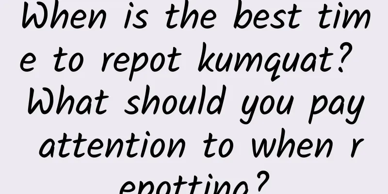 When is the best time to repot kumquat? What should you pay attention to when repotting?