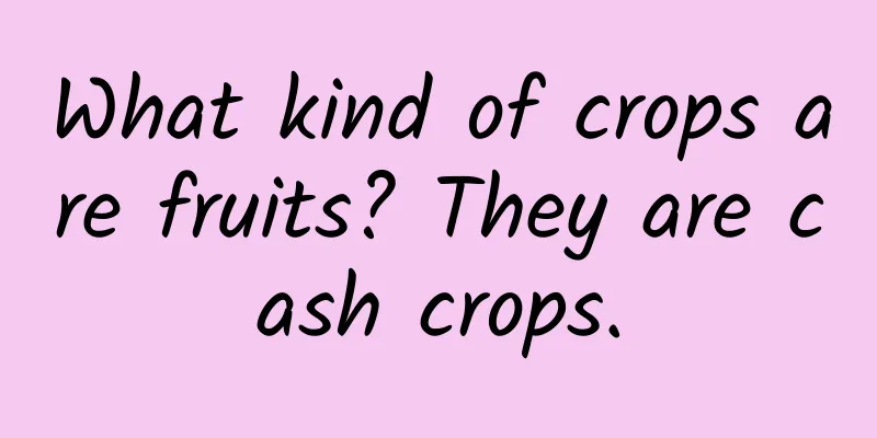 What kind of crops are fruits? They are cash crops.