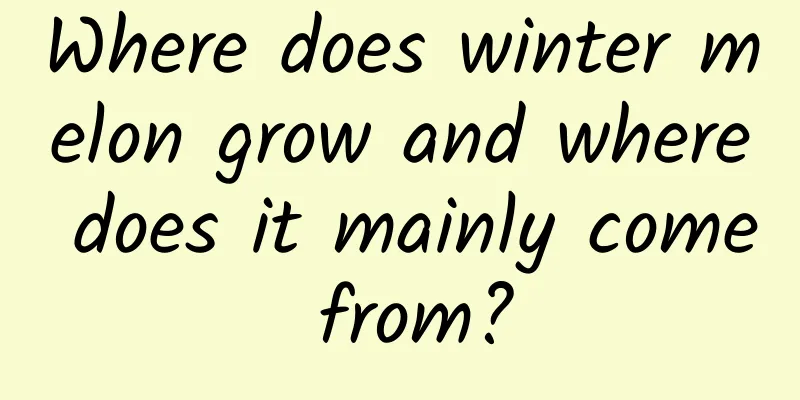Where does winter melon grow and where does it mainly come from?