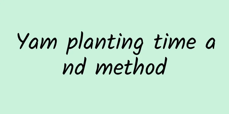 Yam planting time and method