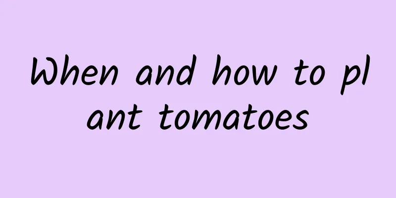 When and how to plant tomatoes