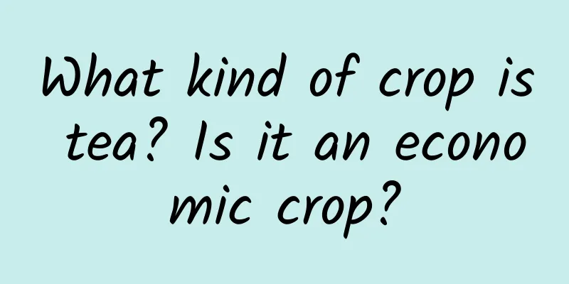 What kind of crop is tea? Is it an economic crop?