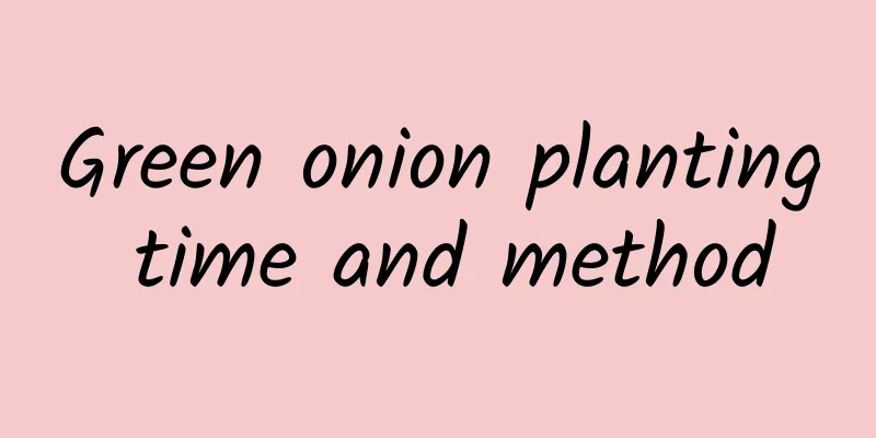 Green onion planting time and method