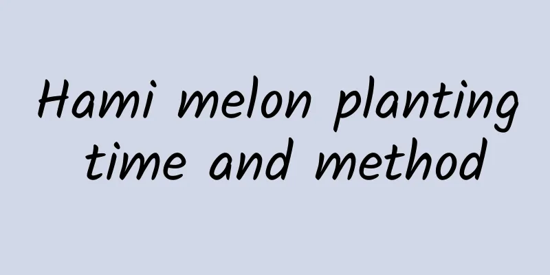 Hami melon planting time and method