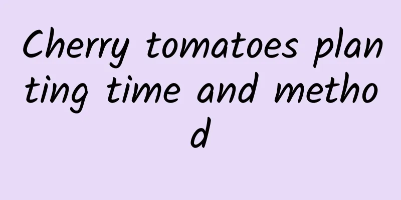Cherry tomatoes planting time and method