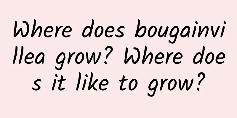 Where does bougainvillea grow? Where does it like to grow?