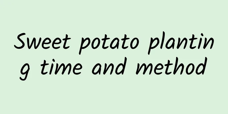 Sweet potato planting time and method