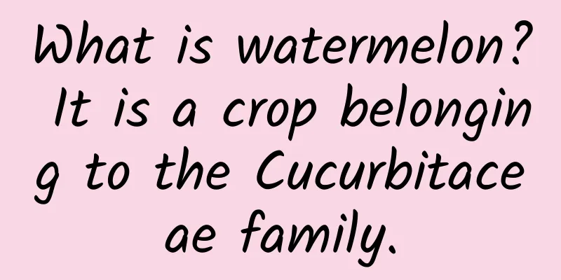 What is watermelon? It is a crop belonging to the Cucurbitaceae family.