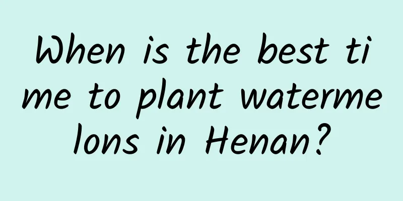 When is the best time to plant watermelons in Henan?