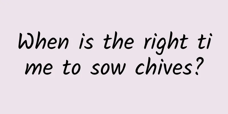 When is the right time to sow chives?