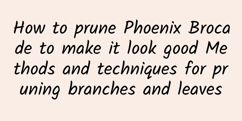 How to prune Phoenix Brocade to make it look good Methods and techniques for pruning branches and leaves
