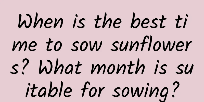 When is the best time to sow sunflowers? What month is suitable for sowing?