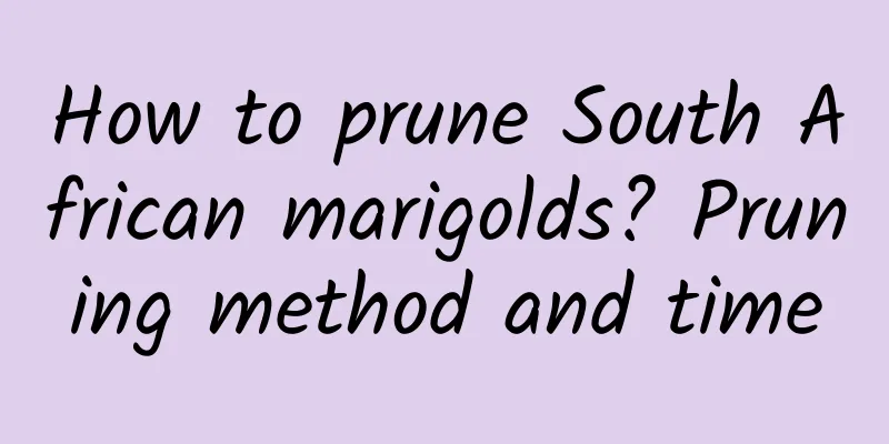 How to prune South African marigolds? Pruning method and time