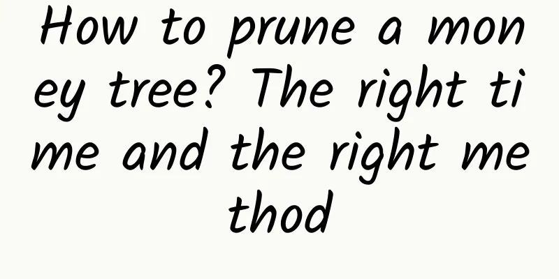 How to prune a money tree? The right time and the right method