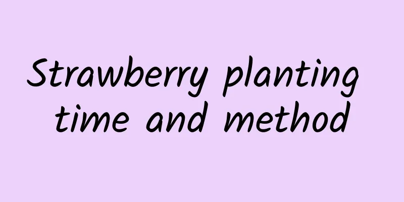 Strawberry planting time and method