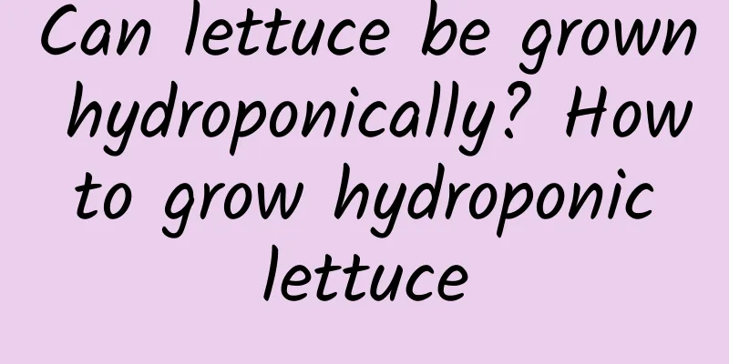 Can lettuce be grown hydroponically? How to grow hydroponic lettuce
